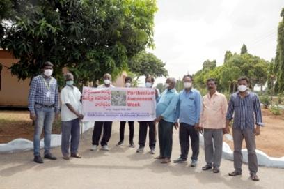 Parthenium Awareness Week August 16-22, 2021