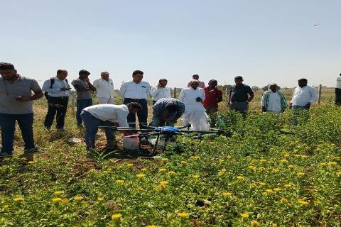 Safflower field day at Thirumalapur