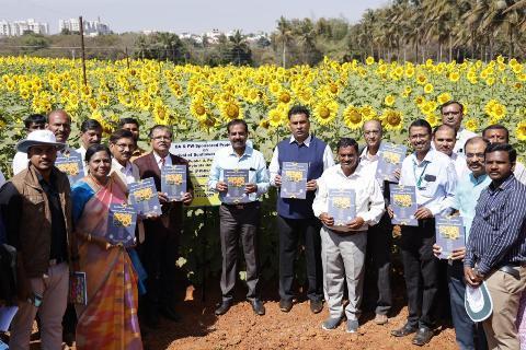 Sunflower field day at Bengaluru