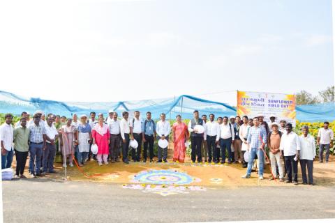 Sunflower field day followed by a review meeting of Revival of Sunflower Cultivation project funded by DA&FW, GoI, New Delhi on 20, January 2024 at ICAR-IIOR