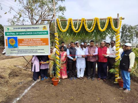 Organized Sunflower field day at Oilseeds Research Station, Latur on February 14, 2024